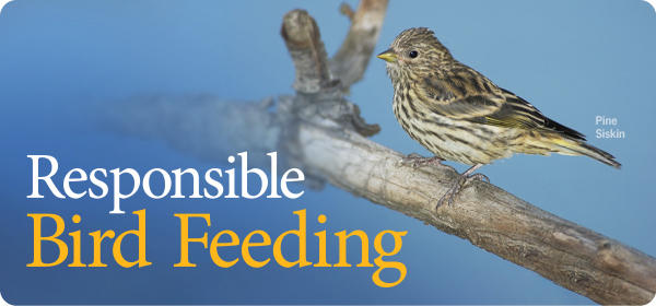 Resp;onsible Bird Feeding